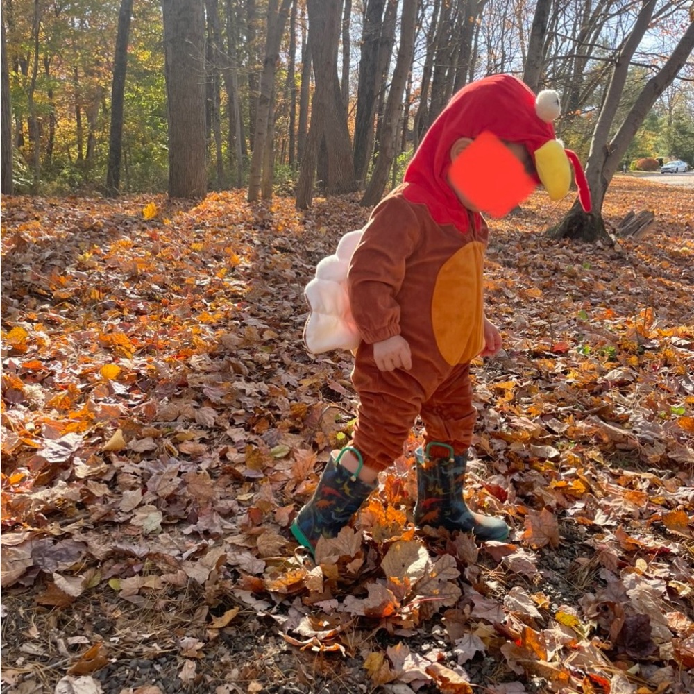 Kids Turkey Costume - Brown and Red